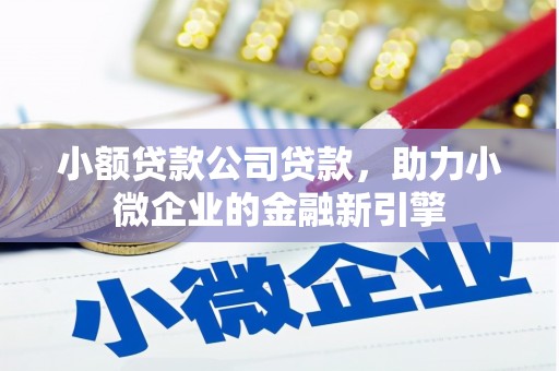 南岸小额贷款公司贷款，助力小微企业的金融新引擎