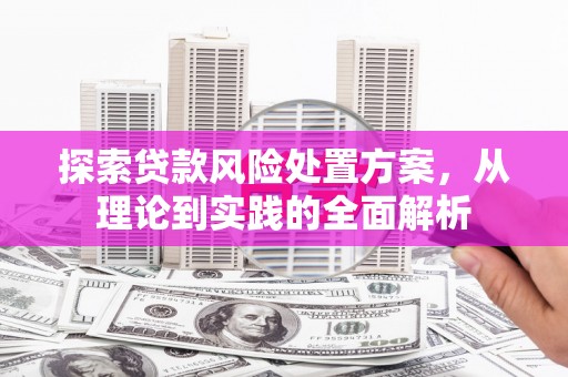 南岸探索贷款风险处置方案，从理论到实践的全面解析