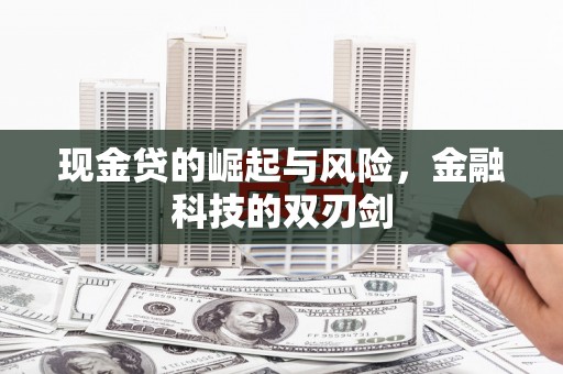 南岸现金贷的崛起与风险，金融科技的双刃剑