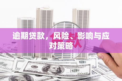 南岸逾期贷款，风险、影响与应对策略
