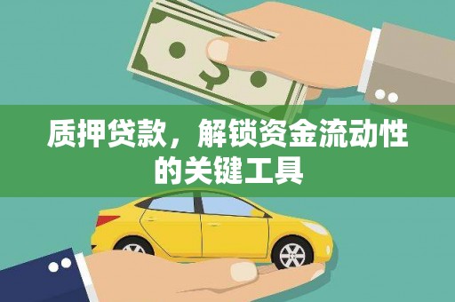 南岸质押贷款，解锁资金流动性的关键工具