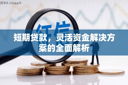 南岸短期贷款，灵活资金解决方案的全面解析