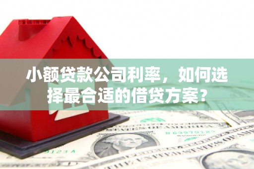 南岸小额贷款公司利率，如何选择最合适的借贷方案？