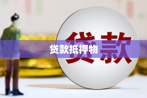 南岸贷款抵押物