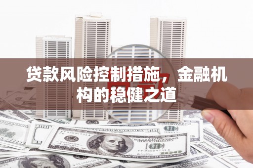 南岸贷款风险控制措施，金融机构的稳健之道