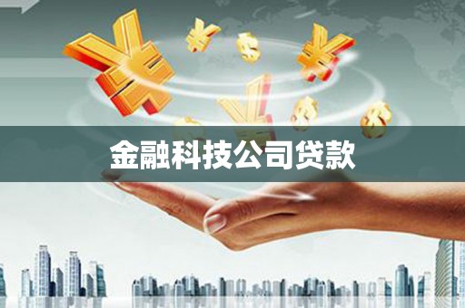 南岸金融科技公司贷款