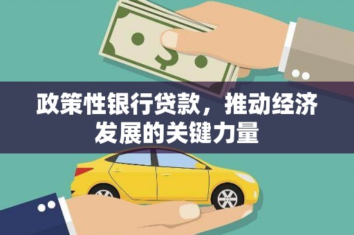 南岸政策性银行贷款，推动经济发展的关键力量
