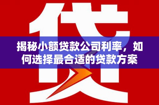 南岸揭秘小额贷款公司利率，如何选择最合适的贷款方案