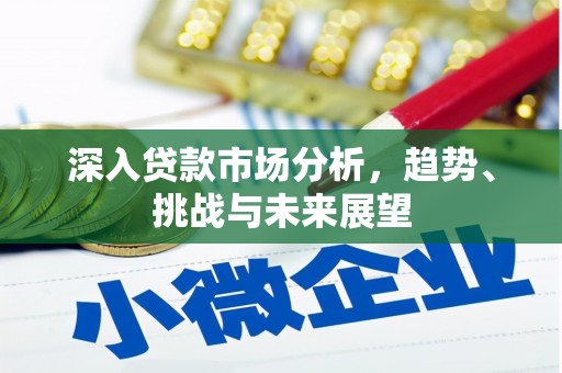 南岸深入贷款市场分析，趋势、挑战与未来展望