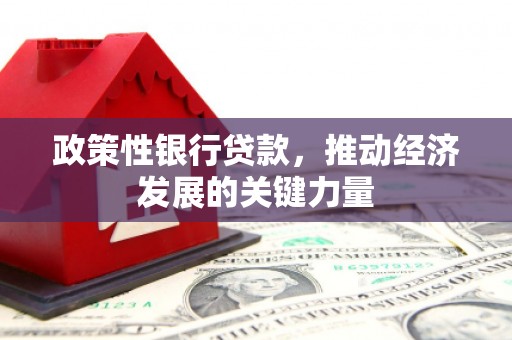 南岸政策性银行贷款，推动经济发展的关键力量