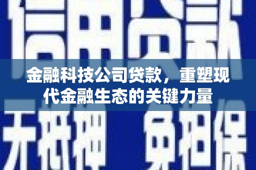 南岸金融科技公司贷款，重塑现代金融生态的关键力量