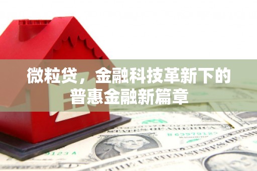 南岸微粒贷，金融科技革新下的普惠金融新篇章