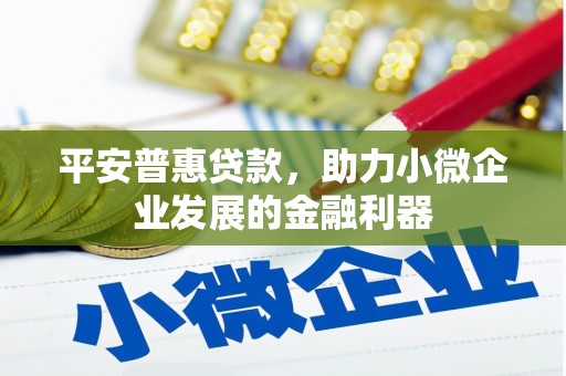 南岸平安普惠贷款，助力小微企业发展的金融利器