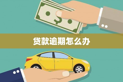 南岸贷款逾期怎么办
