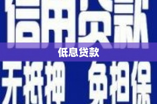 南岸低息贷款
