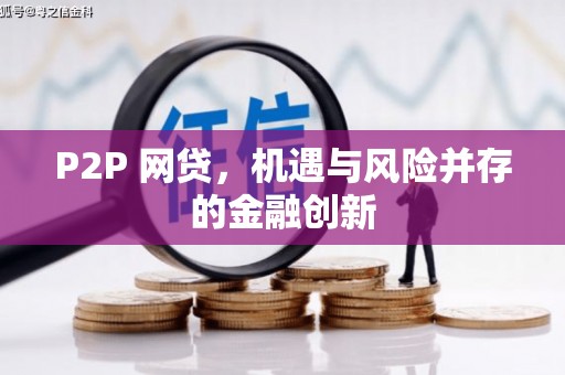 南岸P2P 网贷，机遇与风险并存的金融创新