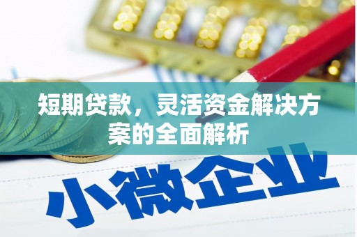 南岸短期贷款，灵活资金解决方案的全面解析