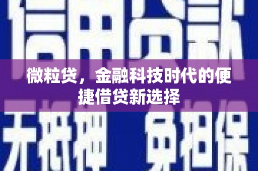 南岸微粒贷，金融科技时代的便捷借贷新选择