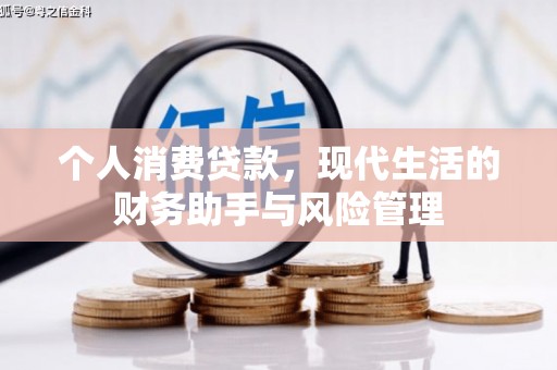 南岸个人消费贷款，现代生活的财务助手与风险管理