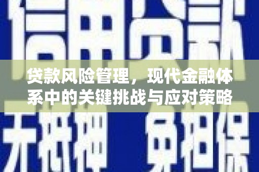 南岸贷款风险管理，现代金融体系中的关键挑战与应对策略