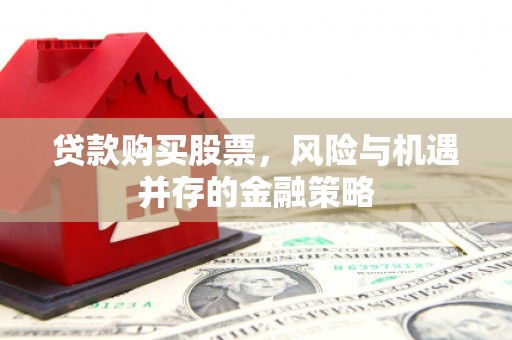 南岸贷款购买股票，风险与机遇并存的金融策略
