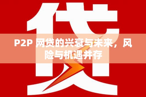 南岸P2P 网贷的兴衰与未来，风险与机遇并存
