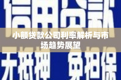 南岸小额贷款公司利率解析与市场趋势展望