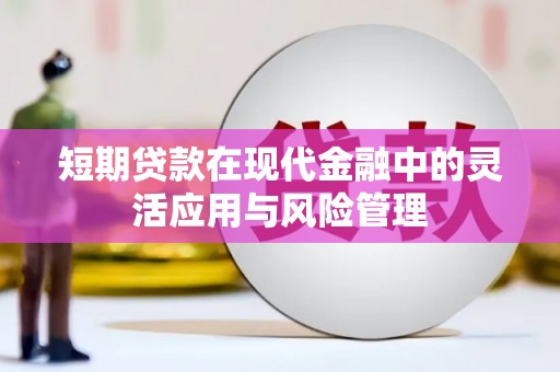 南岸短期贷款在现代金融中的灵活应用与风险管理