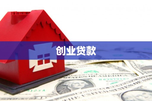 南岸创业贷款