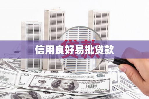 南岸信用良好易批贷款
