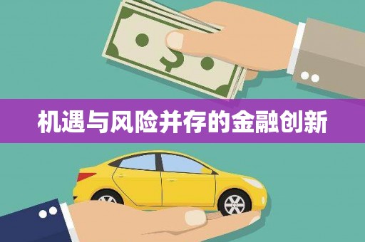 南岸机遇与风险并存的金融创新