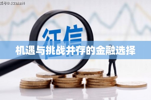 南岸机遇与挑战并存的金融选择