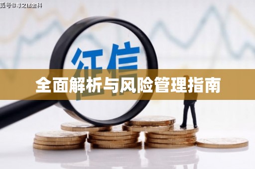 南岸全面解析与风险管理指南