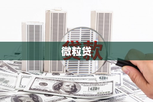 南岸微粒贷