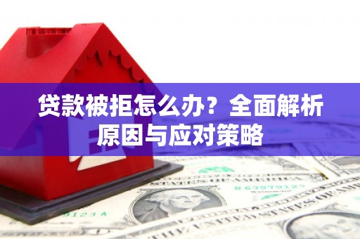 南岸贷款被拒怎么办？全面解析原因与应对策略