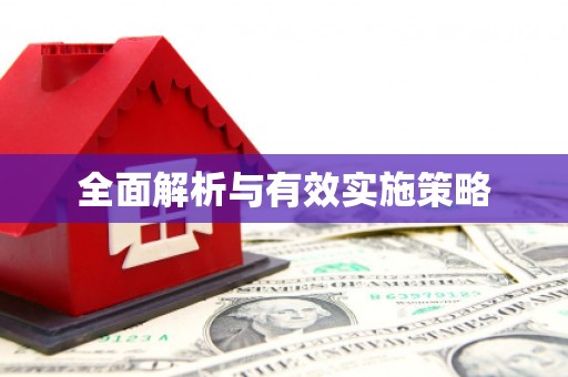 南岸全面解析与有效实施策略