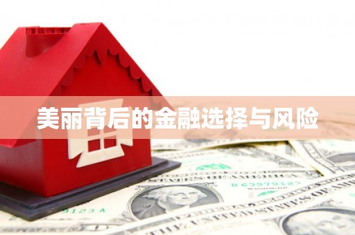 南岸美丽背后的金融选择与风险