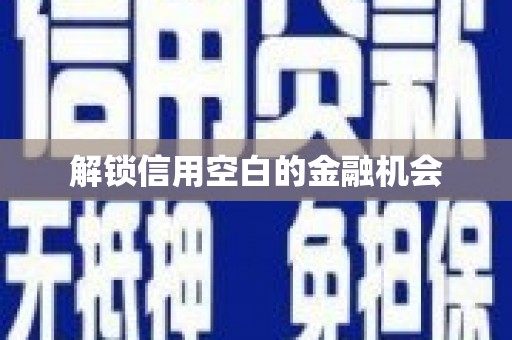 南岸解锁信用空白的金融机会