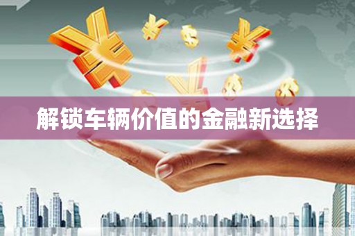 南岸解锁车辆价值的金融新选择