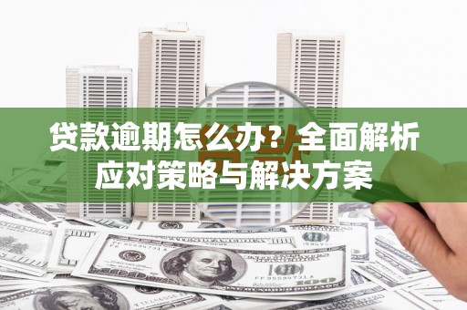 南岸贷款逾期怎么办？全面解析应对策略与解决方案