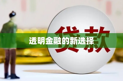 南岸透明金融的新选择