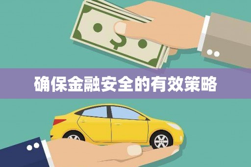 南岸确保金融安全的有效策略