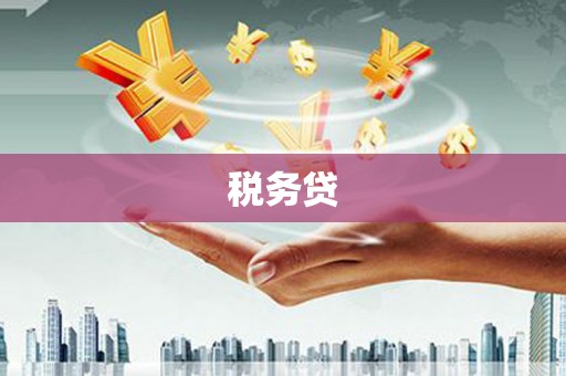 南岸税务贷