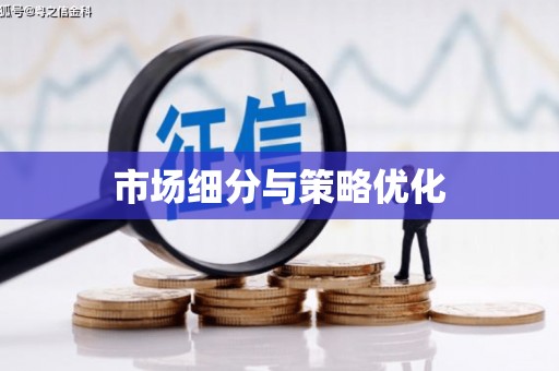 南岸市场细分与策略优化