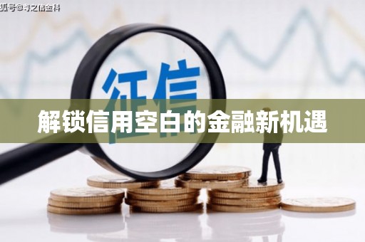 南岸解锁信用空白的金融新机遇