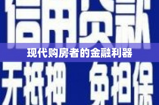 南岸现代购房者的金融利器