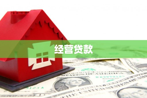 南岸经营贷款