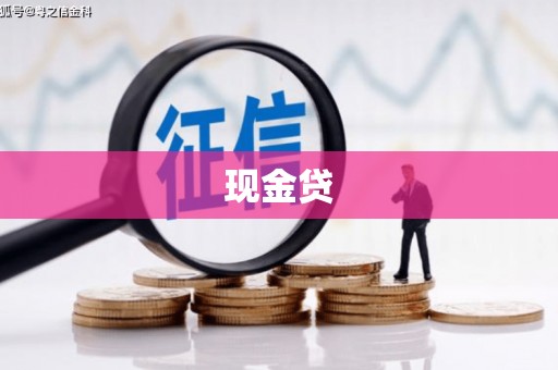 南岸现金贷