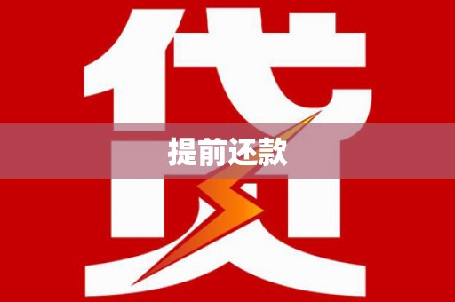 南岸提前还款