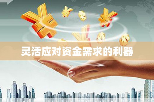 南岸灵活应对资金需求的利器